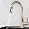 Hibbent Pull Out Sink Sprayer, 2 Function Kitchen Faucet Head,