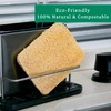 Natural Loofah Kitchen Sponge (3 Pack) - Natural Sponges for