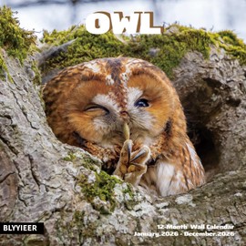 2026 Wall Calendar,Owl Calendar 2026,OWL Monthly Wall Calendar, 12" x 24" Open,Family Planner Calendar, Home & Office Organizer,Hangable