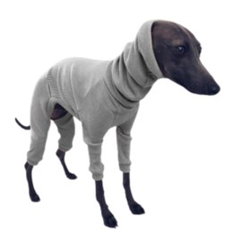 LEONIA Italian Greyhound Italian Greyhound Miniature Pinscher Advanced Elastic Rib Fabric Cold Hair Loss Cooling Countermeasure Small Dogs Single Coat Short Breed (Gray, M)