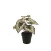 artplants.de Fake begonia rex MEIRA, green-violet, 10"/25cm - Artificial plants/False