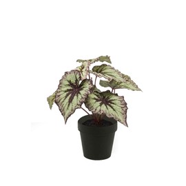 artplants.de Fake begonia rex MEIRA, green-violet, 10"/25cm - Artificial plants/False begonia rex