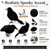 KTJEGE 3 Pack Artificial Feathered Halloween Crows,Black Realistic Raven
