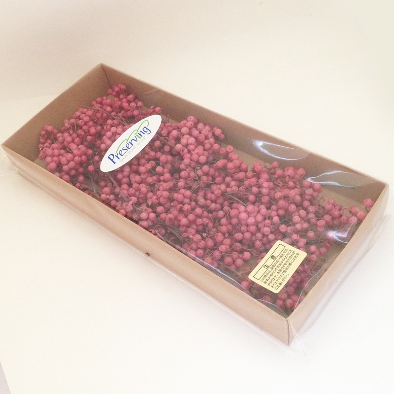 Daichi Farm DO003380-100 Preserved Flowers, Pepperberry, Preserved, Pink, Approx. 9.8
