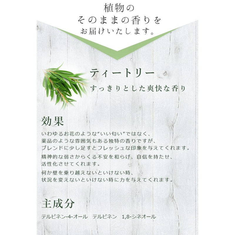 Aroma Oil, Tea Tree, 0.3 fl oz (10 ml), Essential