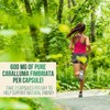 Caralluma Fimbriata Extract 1200mg - Maximum Strength Natural Caralluma Fimbriata
