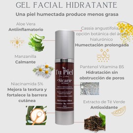 Kit para Piel Grasa y Acné Gel Hidratante Facial Piel Grasa, Suero de Ácido Salicílico 2%, Suero de Niacinamida 10%, Gel Limpiador Exfoliante Facial y Mascarilla de Arcilla Negra con Carbón Activado Tu Piel Dra Lietza