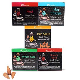 ARO VATIKA Natural Masala Backflow Assorted Incense Cones Combo 'A' of 5 Packets Consists Total 50 Cones (Nag Champa, Dragons Blood, White Sage, Palo Santo, Musk)