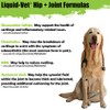 Liquid-Vet K9 Hip & Joint Advanced Formula, Chicken Flavor, 8