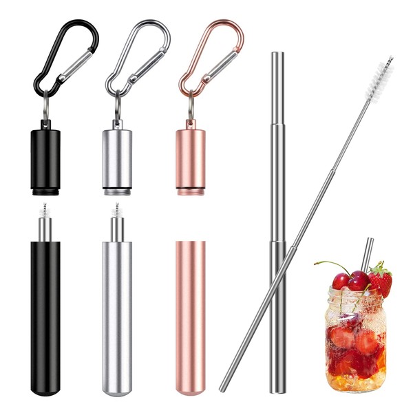 Set of 3 Stainless Steel Straws, Reusable Telescopic Straws, Portable