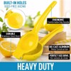 Royal Cuisine Lemon Squeezer, Premium Quality Manual Citrus Press, Easily