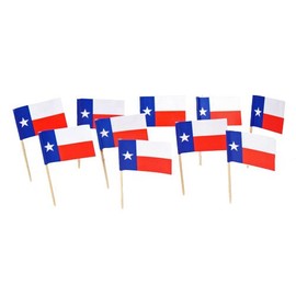 Texas | Texan Flag Toothpicks (100)