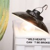 Hanging LED Camping Light Warm Light Lightweight Portable USB Charging