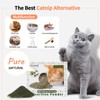 YWAOOH Cat Toys - Blend Silvervine Powder 45g with 5