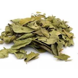 NY Herb Sop WHOLESALE!! Dry Curry Leaves Premium Quality Curry Leaves Bulk Leaves - 4oz