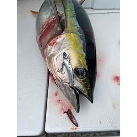 NatureBoys Tetsuwan VIB Zn 2.1 oz (60 g)