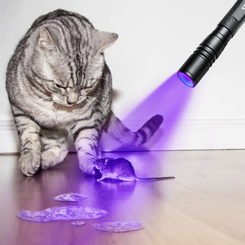 COSMOING 395nm UV Flashlight, Zoomable Blacklight with 2xAAA Battery Ultraviolet