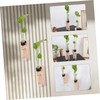 Alipis Decorative Wall Hanging Propagation Stations 2 Sets of Test