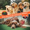 PaiPaitek Vibrating Collar No Shock for 3 Dogs Training, 3300ft