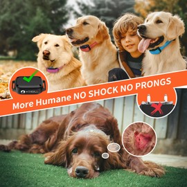 PaiPaitek Vibrating Collar No Shock for 3 Dogs Training, 3300ft Dog Training Collars with Vibration(1-9), Beep(1-9), Security Lock, Waterproof & Rechargeable Buzz Collar for Dogs 5-120 lbs - No Prongs