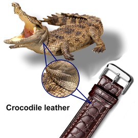 MUENShop Alligator Watch Strap Genuine Crocodile Leather Strap 18 mm 19 mm 20 mm 21 mm 22 mm 23 mm 24 mm Black Brown Blue Replacement Watch Strap for Men Women, brown, Classic