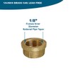 Supply Giant CSDB0018 1/8 in. Lead-Free Brass Pipe Cap for