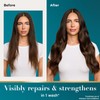 OGX Argan Oil Of Morocco Set, Shampoo & Conditioner, 13