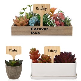 Toyvian 25 Pcs Wooden Garden Plant Labels T-Type Plant Tags with Marker Pen Double-Sided Writeable Waterproof Garden Markers Sign for Outdoor Indoor Seedling Vegetable Flowers