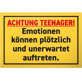 DankeDir! Teenager Emotions Sign 30 x 20 cm Boys & Girls Teenager Door Sign Gift Idea Room Saying Room Decoration Gift Idea Door Decoration Birthday Teenagers
