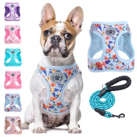 BEAUTYZOO Step in Dog Harness and Leash Set,Floral Pattern Reflective Dog Harness No Pull No Choke Puppy Harness for Small Medium Large Dogs Cats,Soft Padded Mesh Vest Harnesses for Girl and Boy Pets