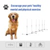 Sturdy Dog Weaves Poles Outdoor Pet Speed and Agility Equipment