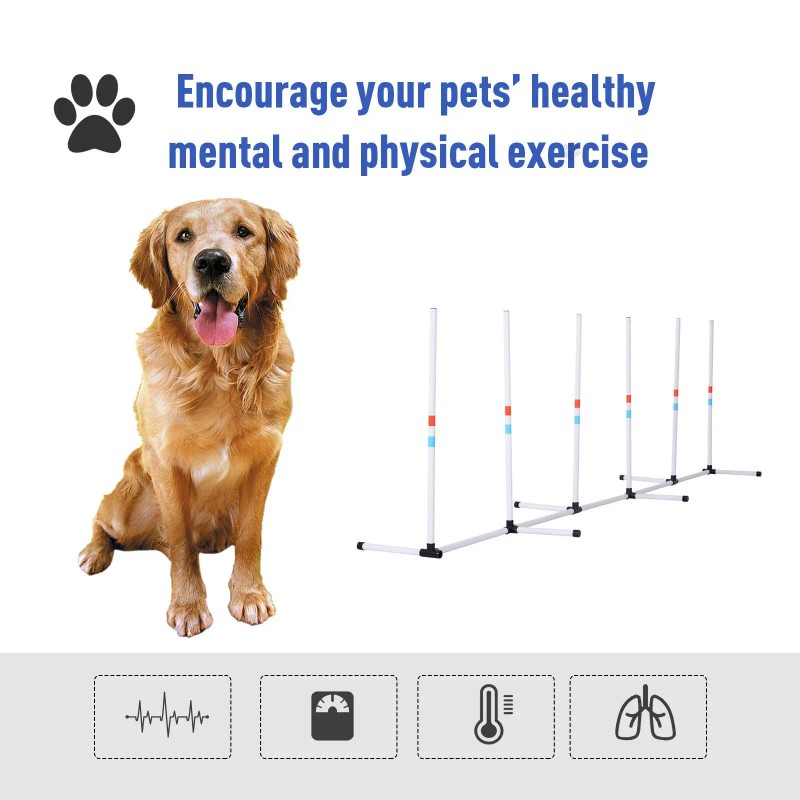 Sturdy Dog Weaves Poles Outdoor Pet Speed and Agility Equipment
