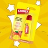 Carmex Classic Lip Balm Tube Peach Mango (Pack of 12)