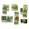 Forest Shuffle Card Game (Japanese Ver.)