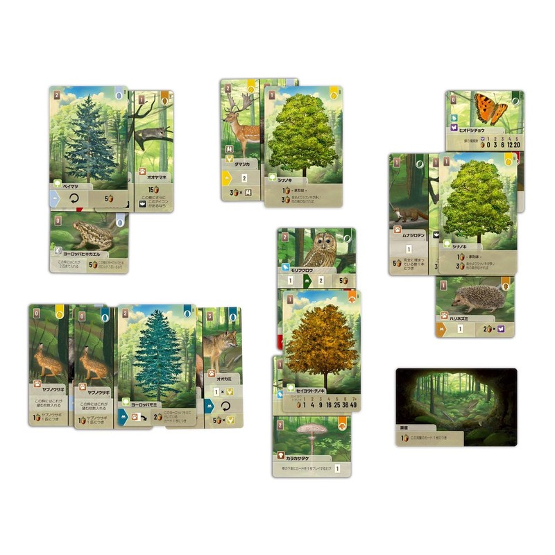 Forest Shuffle Card Game (Japanese Ver.)