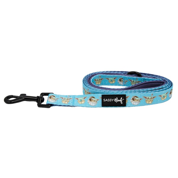 Sassy Woof Star Wars™ The Mandalorian™ Dog Leash 60-Inch with