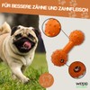 WEPO Dog Toy Small Dogs Orange - Dog Chew Toy