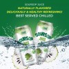 Vinut Soursop with Pulp Juice Drink – Natural & Fresh