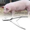 Stainless Steel Pig Ear Tag Plier Pig Equipment Farm Animals