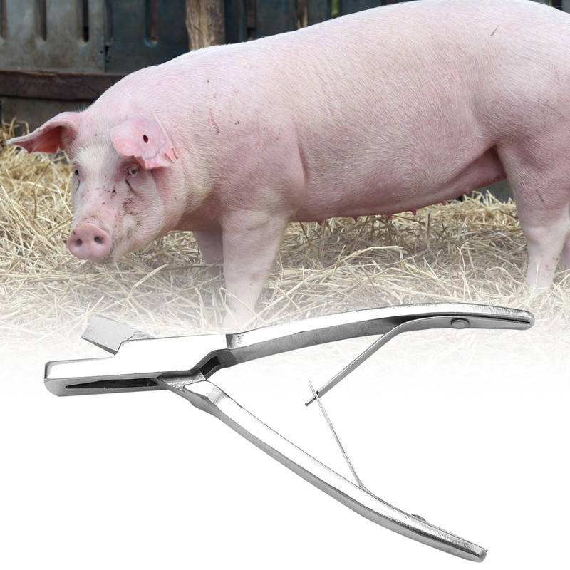 Stainless Steel Pig Ear Tag Plier Pig Equipment Farm Animals