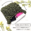 FRACARKOS Eco Bag, Large Capacity, Squeegee Stretchable, Satin, Squeezing, Foldable,