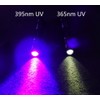 WONDSUNSON 2 x 365nm 395nm Black Light UV Flashlight Mini