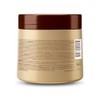 Placenta Life Natural Lisso Keratina Mask With Hydrolyzed Keratin For