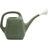 Bloem Promo Removable Nozzle Spout, Indoor/Outdoor Use Resin Watering Can,
