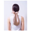 1 x Silk Shiny Pony Cap