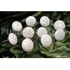 PUSHPACRAFTS 10 x Vintage White Cream Floral Ceramic Knobs