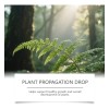 Gotas Nutritivas Plantas Crecimiento Sano Pack