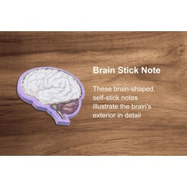 Brain Gift Set, neurologist, 3D Human Brain Anatomy Model Doctor Psychology Graduation Gifts for Him Her, 3D Laser Etched Crystal Cube Brain Figure, brain sticky note, keychain,tattoo