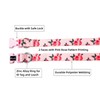 Olahibi Dog Collar and Leash Set, Cute Rose Pattern, Polyester