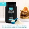 Creatina Monohidratada 1 Kg Muscle Life Varios Sabores
